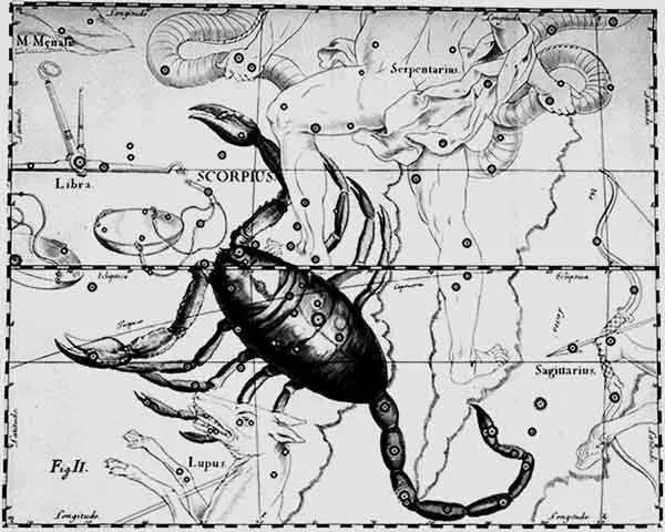 Scorpio, by Hevelius.
