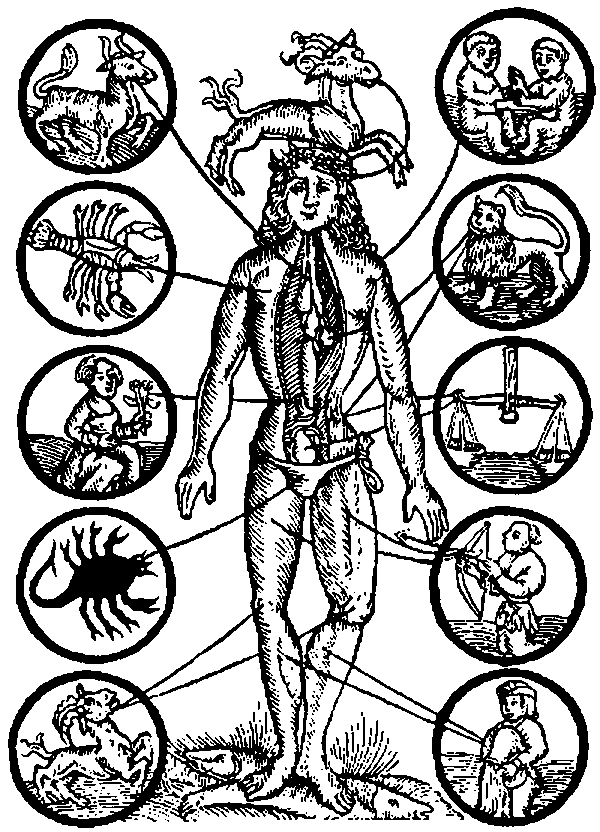 Zodiac Man. Illustration from 1512.