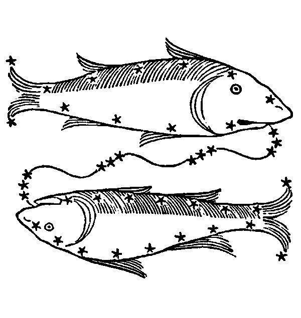 Pisces — Fish. Illustration from a 1482 edition of Poeticon Astronomicon, attributed to Hyginus.