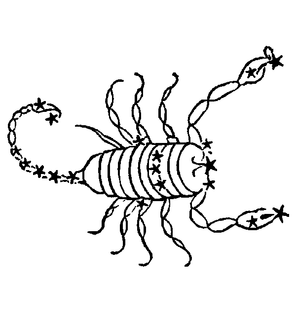 Scorpio — Scorpion. Illustration from a 1482 edition of Poeticon Astronomicon, attributed to Hyginus.