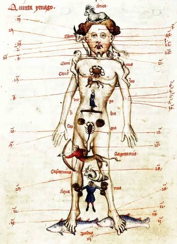 Zodiac Man combined with Phlebotomy Man, showing when and where bloodletting should be done. From John Foxton's Liber Cosmographiae, 1408.