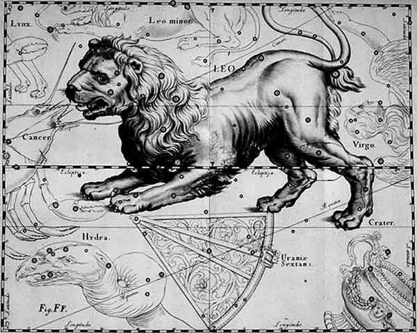 Leo, by Hevelius.