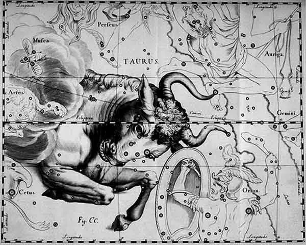 Taurus, by Hevelius.