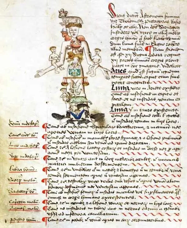 Zodiac Man. Illumination from a book by John of Arderne, 14th Century.