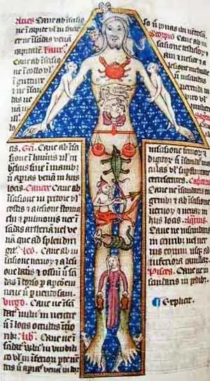 Zodiac Man. Illustration from late 14th century England.
